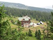Img 4698