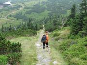 Img 4704