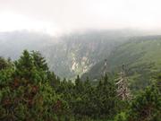 Img 4705
