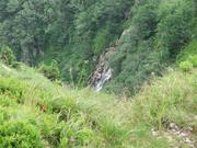 Img 4706