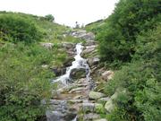 Img 4707