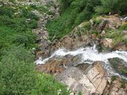 Img 4708