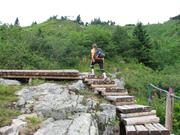 Img 4710
