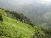 Img 4713