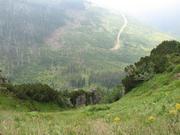 Img 4716
