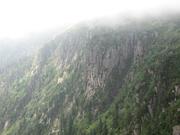 Img 4718