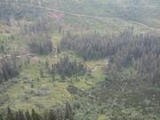 Img 4719
