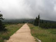 Img 4724