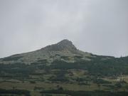 Img 4725
