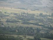 Img 4726