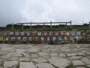 Img 4728