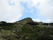 Img 4732