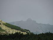 Img 4733