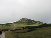 Img 4734