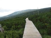 Img 4749