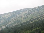 Img 4751