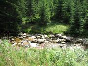 Img 4755