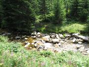 Img 4756