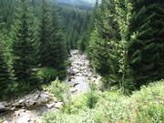 Img 4757