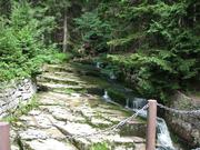 Img 4758