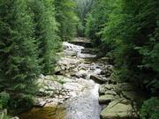 Img 4759