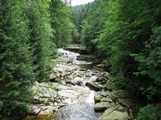 Img 4760