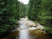 Img 4761