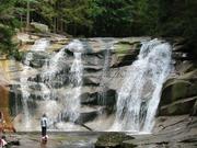 Img 4763