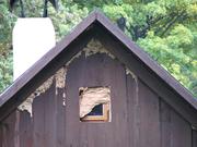 Img 5240