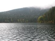 Img 5259