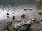 Img 5269