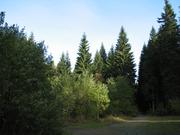 Img 5279