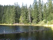 Img 5281