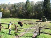 Img 5295