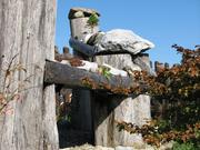 Img 5299