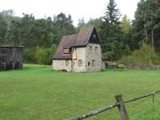 Img 5351