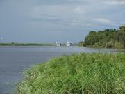 Img 6459