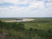 Img 6528