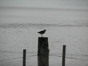 Img 0021
