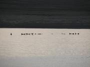 Img 0025