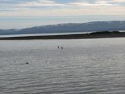 Img 0042