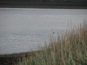 Img 0056