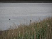 Img 0057