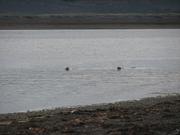 Img 0058