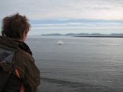 Img 0065