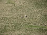 Img 0086