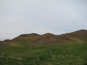 Img 0094