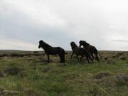 Img 0104
