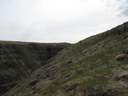 Img 0121