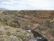 Img 0154